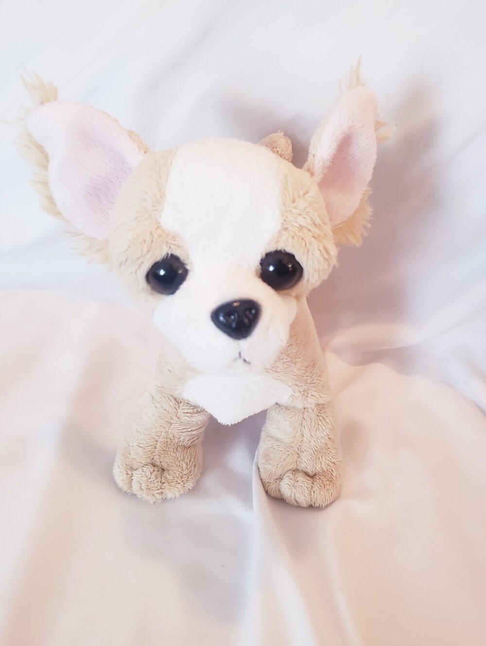 Ganz Webkinz Chihuahua plush toy (model HM104)